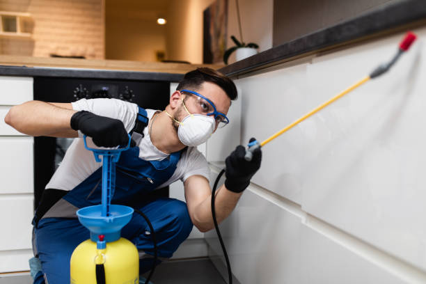 Best Pest Prevention Services  in Homosassa Springs, FL