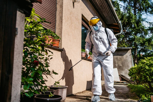 Best Best Pest Control Companies  in Homosassa Springs, FL