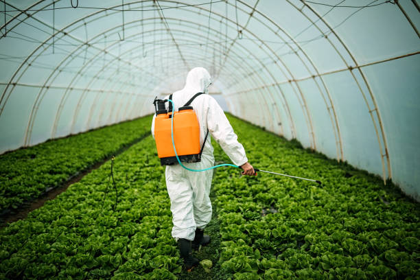 Best Mosquito Control Services  in Homosassa Springs, FL