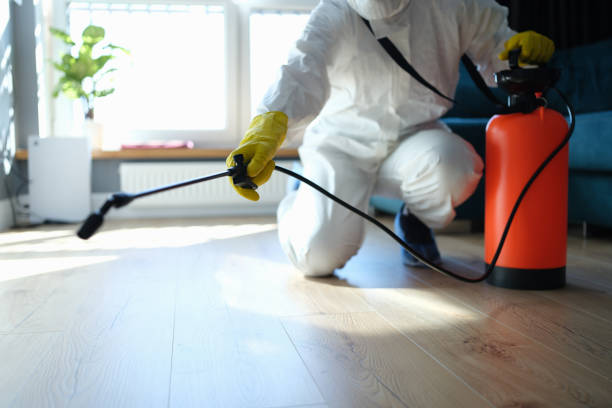 Best Pest Prevention Services  in Homosassa Springs, FL