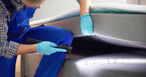 Flea Control Services in Homosassa Springs, FL